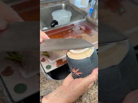 How to Sharpen a Knife at home WITHOUT a Sharpener (My Mom's Vietnamese Trick) #shorts